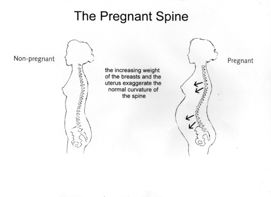 pregnancy spine